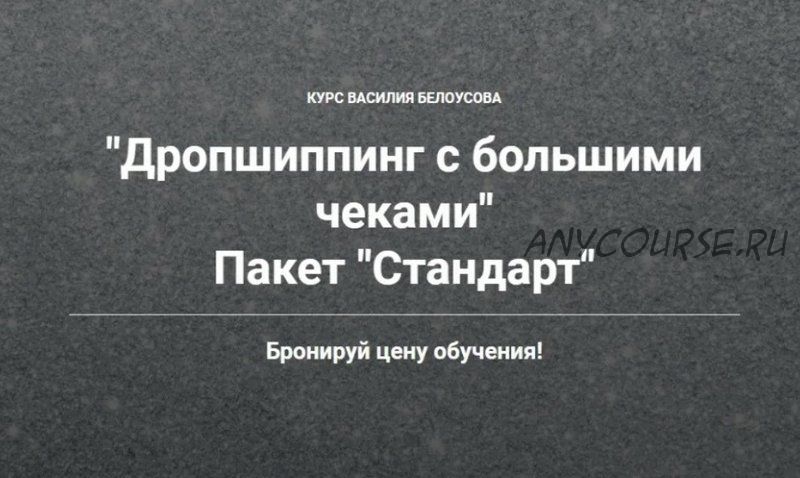 Дропшиппинг с большими чеками 3.0. Пакет «Стандарт» (Василий Белоусов)