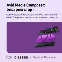 Avid Media Composer быстрый старт (Дмитрий Ларионов)