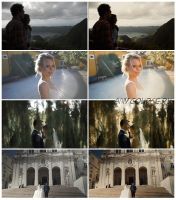 Свадебные Луты для Видеографов SB Luts, 3dl, Cube (Vanessa & Ivo)