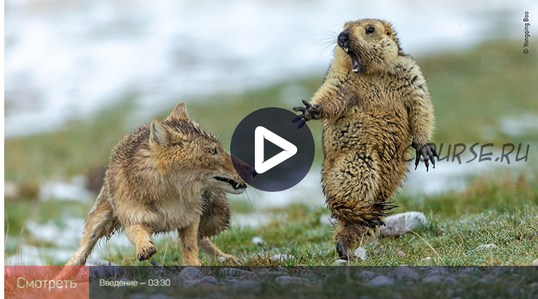 [liveclasses] National Geographic: кадры, вызывающие восторг! (Дмитрий Шатров)