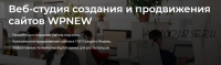 SEO-марафон от Пети wpnnew.ru, пакет «Марафонец» (Пётр Александров)