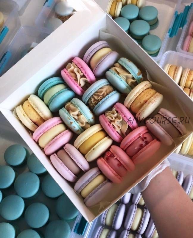 5 начинок макарон. Сборник 1 (macaronsonly_kr)