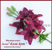 Лилия «Блэк Аут» (Юлия Козьякова)
