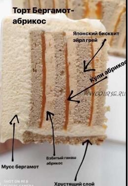 Торт «Бергамот-абрикос». Рецепт (Светлана Кошкина)