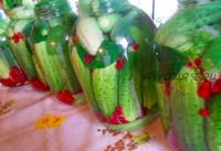 Запасы на зиму - как сохранить всё самое полезное и вкусное (Наташа Бутова)