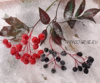 Заснеженные ягоды (Татьяна Ирзина)
