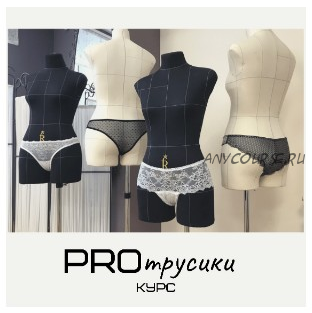 [Lingerie Academy] PROтрусики