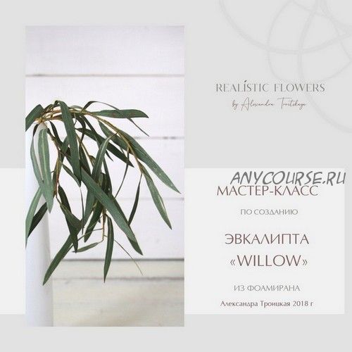 [Realistic flowers] Эвкалипт «Willow» (Александра Троицкая)