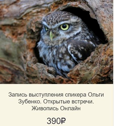 [Живопись Онлайн] Вебинар по масляной пастели. Рисуем совенка (Ольга Зубенко)