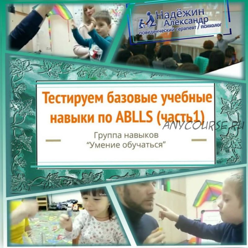 Тестируем базовые учебные навыки по ABLLS вехи A, B. Умение обучаться (Александр Надёжин)