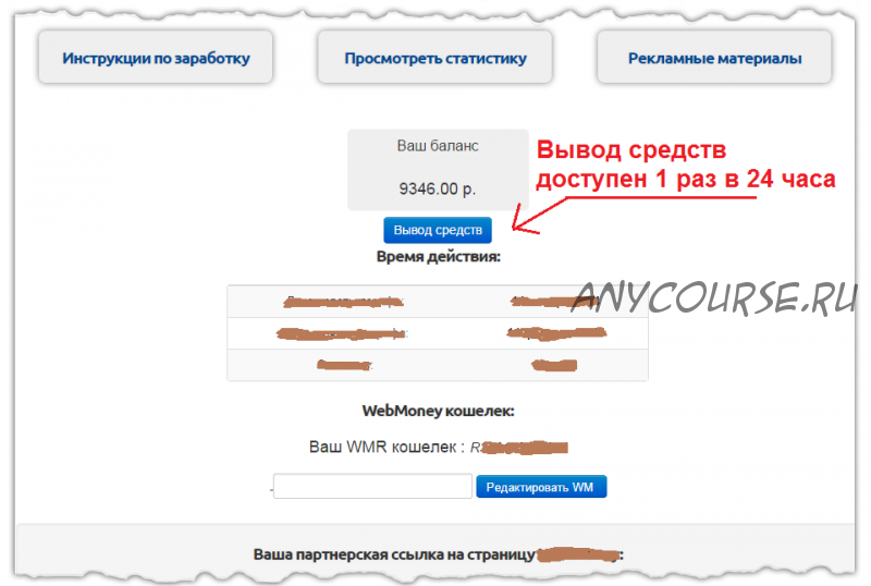 100 000 рублей в месяц, используя пять сервисов (Владимир Павелин)