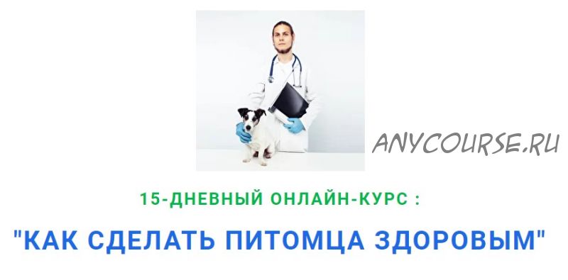 Как сделать питомца здоровым. 12 поток (Дмитрий Русаков)