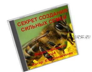 Секреты создания сильных семей (Евгений Романченко)