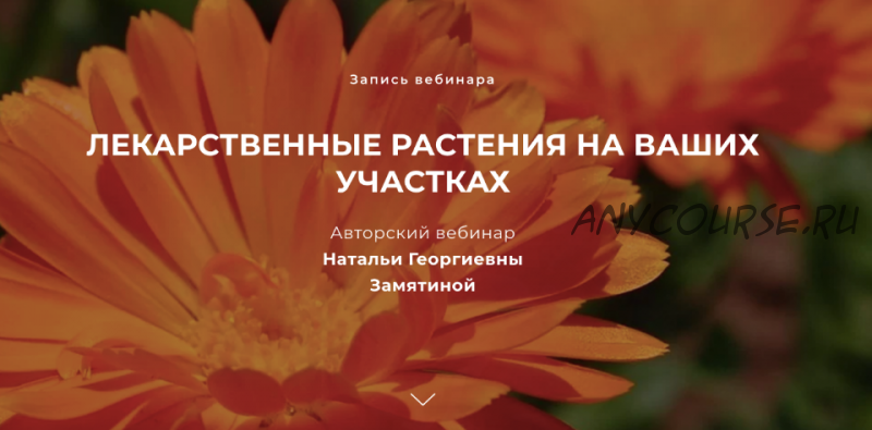 Лекарственные растения на ваших участках (Наталья Замятина)