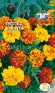 Tagetes-otklonennyj-Bonita-nizkoroslaya-smes-SeDeK