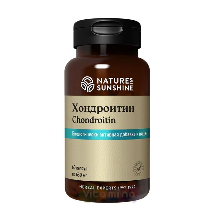 Chondroitin (Хондроитин)