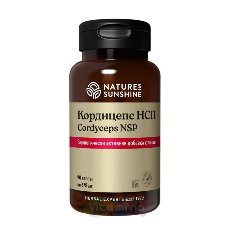 Cordyceps NSP (Кордицепс НСП)