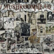 MUSHROOMHEAD  A Wonderful Life