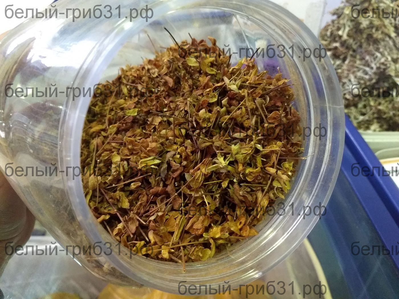 Чашелистик морошки сушеные