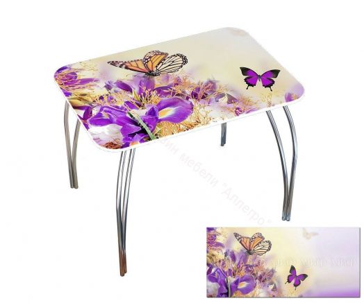 Стол обеденный прямоугольный 1000*670 фотопечать Весна