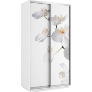 Шкаф-купе "Хит" 2-х дверный (ш1200*г600*в2200мм)