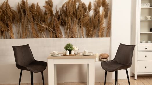 Стол обеденный  "Промо" тип 1 (Белый/Дуб сонома)