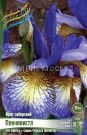 Iris-sibirskij-Pennivistl-I-1-sht