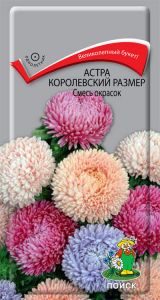 Семена Астра королевский размер Смесь окрасок 0,1гр. Комплект из 3 пакетиков