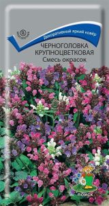 Семена Черноголовка крупноцветковая Смесь окрасок 25 шт