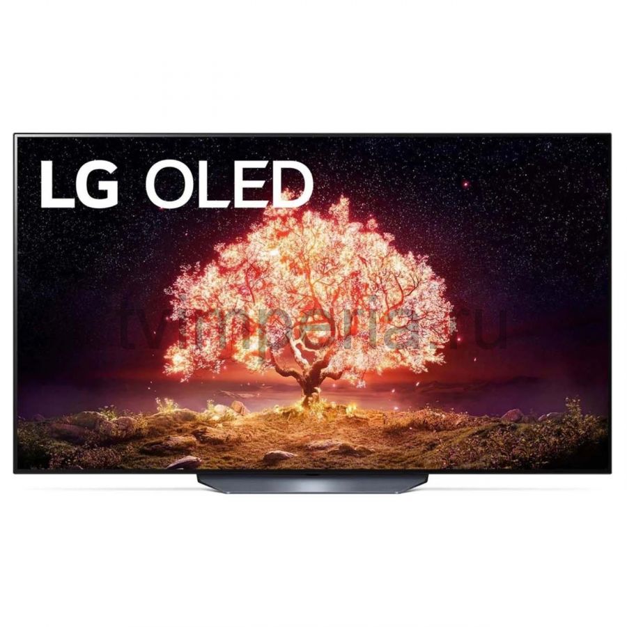 Телевизор LG OLED65B1