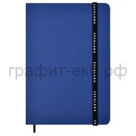 Книжка зап.Феникс+ А5 БУМВИНИЛ синий 96л.клетка 57125