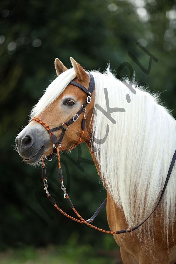 Беcтрензельная уздечка Barefoot Syringa с поводом