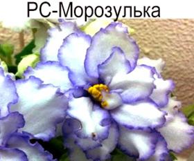 РС-Морозулька (Репкина)