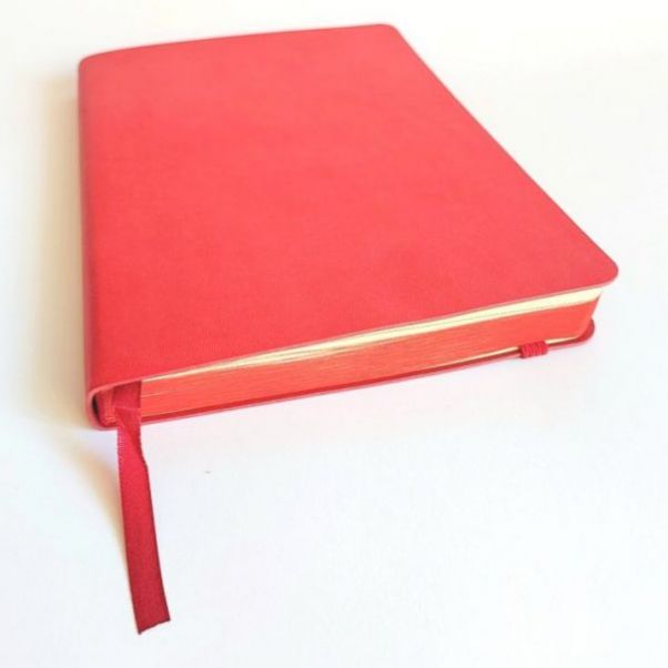 Ежедневник Shady красный