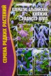 Klematis-alpijskij-Knyazhik-quot-Frances-Rivis-quot-3-sht-Red-Sem