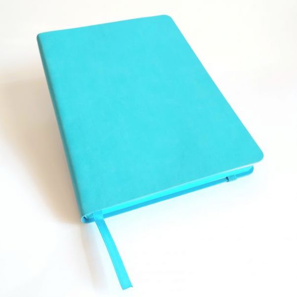 Ежедневник Shady голубой