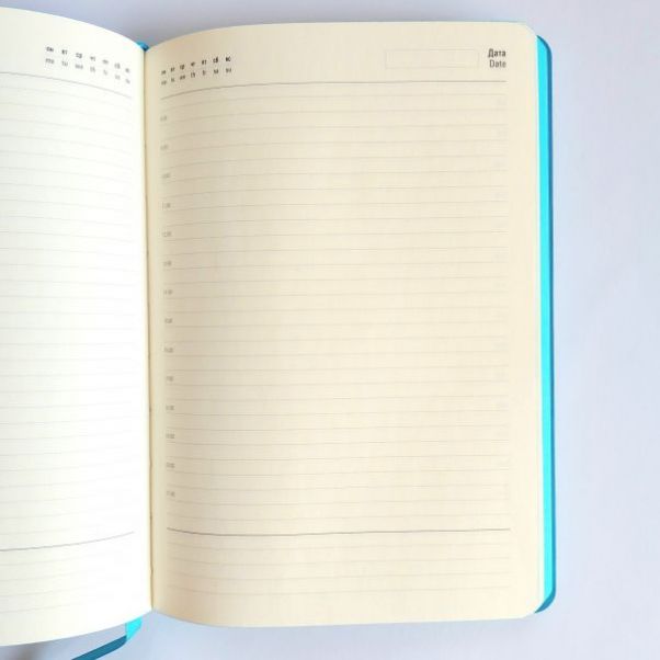 Ежедневник Shady голубой