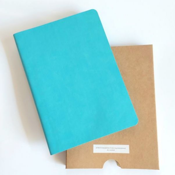 Ежедневник Shady голубой