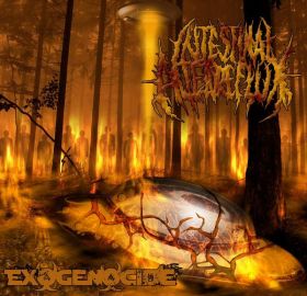 INTESTINAL ALIEN REFLUX - Exogenocide