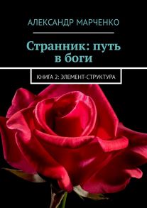 Странник: путь в боги. Книга 2: элемент-структура