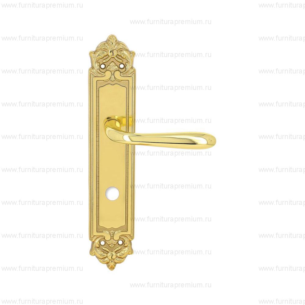 Ручка на планке Extreza Aldo 331 WC PL02