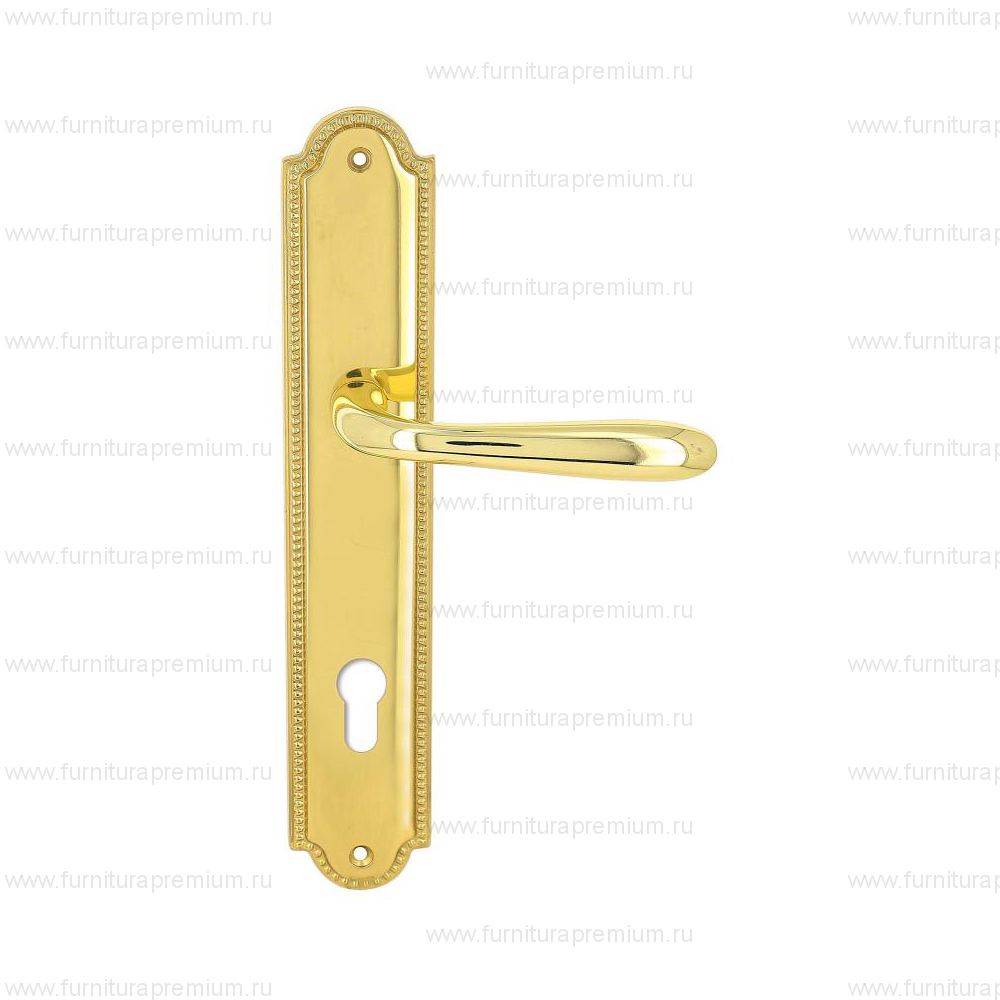 Ручка на планке Extreza Aldo 331 CYL PL03