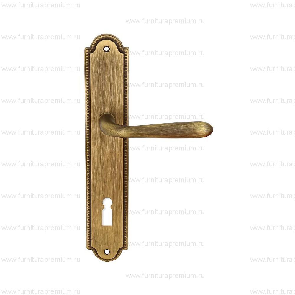 Ручка на планке Extreza Aldo 331 KEY PL03