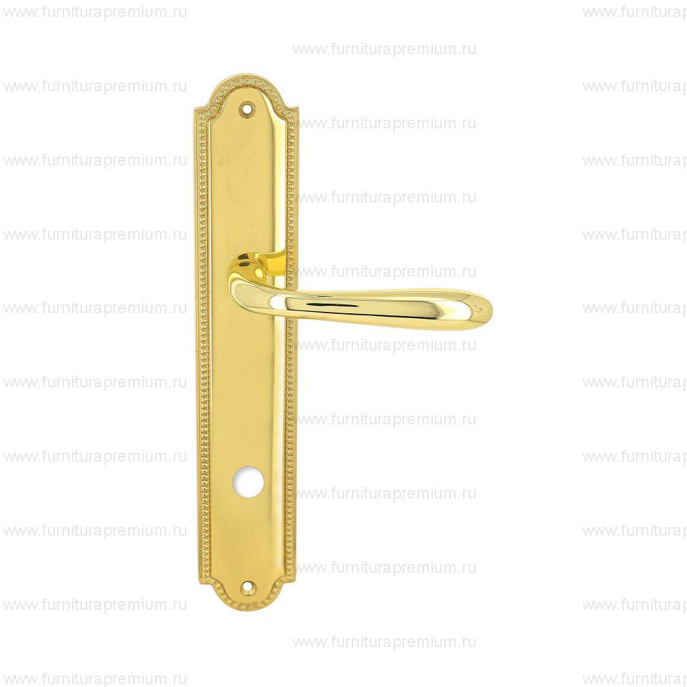 Ручка на планке Extreza Aldo 331 WC PL03