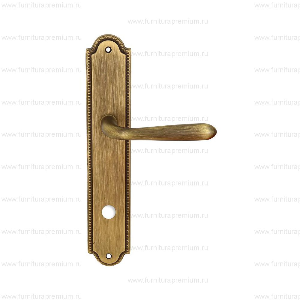 Ручка на планке Extreza Aldo 331 WC PL03