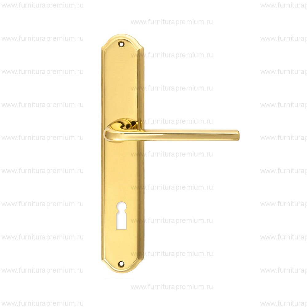 Ручка на планке Extreza Terni 320 KEY PL01