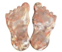 След великана