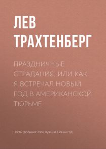 Праздничные страдания, или Как я встречал Новый год в американской тюрьме