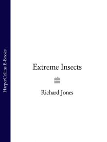 Extreme Insects