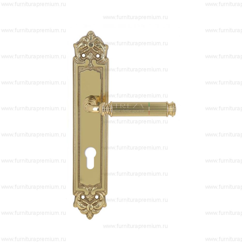 Ручка на планке Extreza Benito 307 CYL PL02